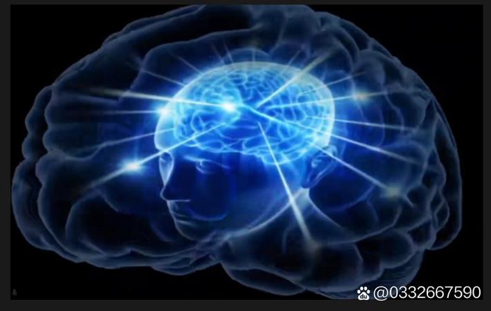 网红直播间哭诉老公家暴,百万网友在线声援